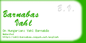 barnabas vahl business card