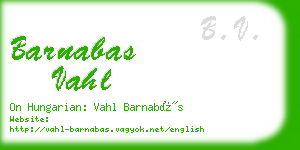 barnabas vahl business card